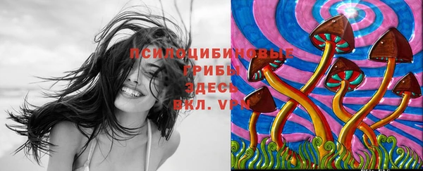 круглые Алзамай