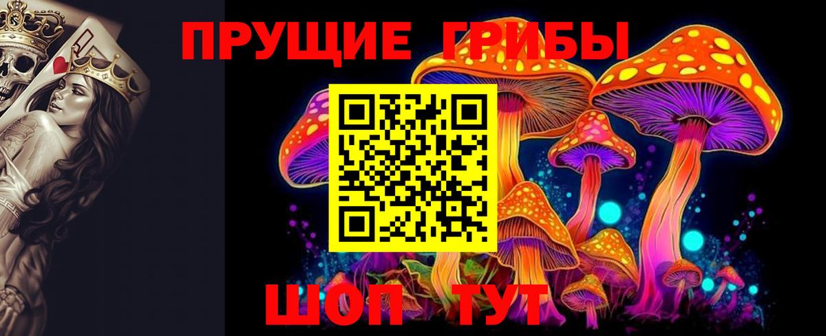 Галлюциногенные грибы Magic Shrooms  Галлюциногенные грибы GOLDEN TEACHER  Йошкар-Ола  Вход с VPN 