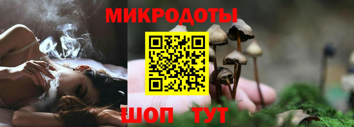 Галлюциногенные грибы прущие грибы Йошкар-Ола